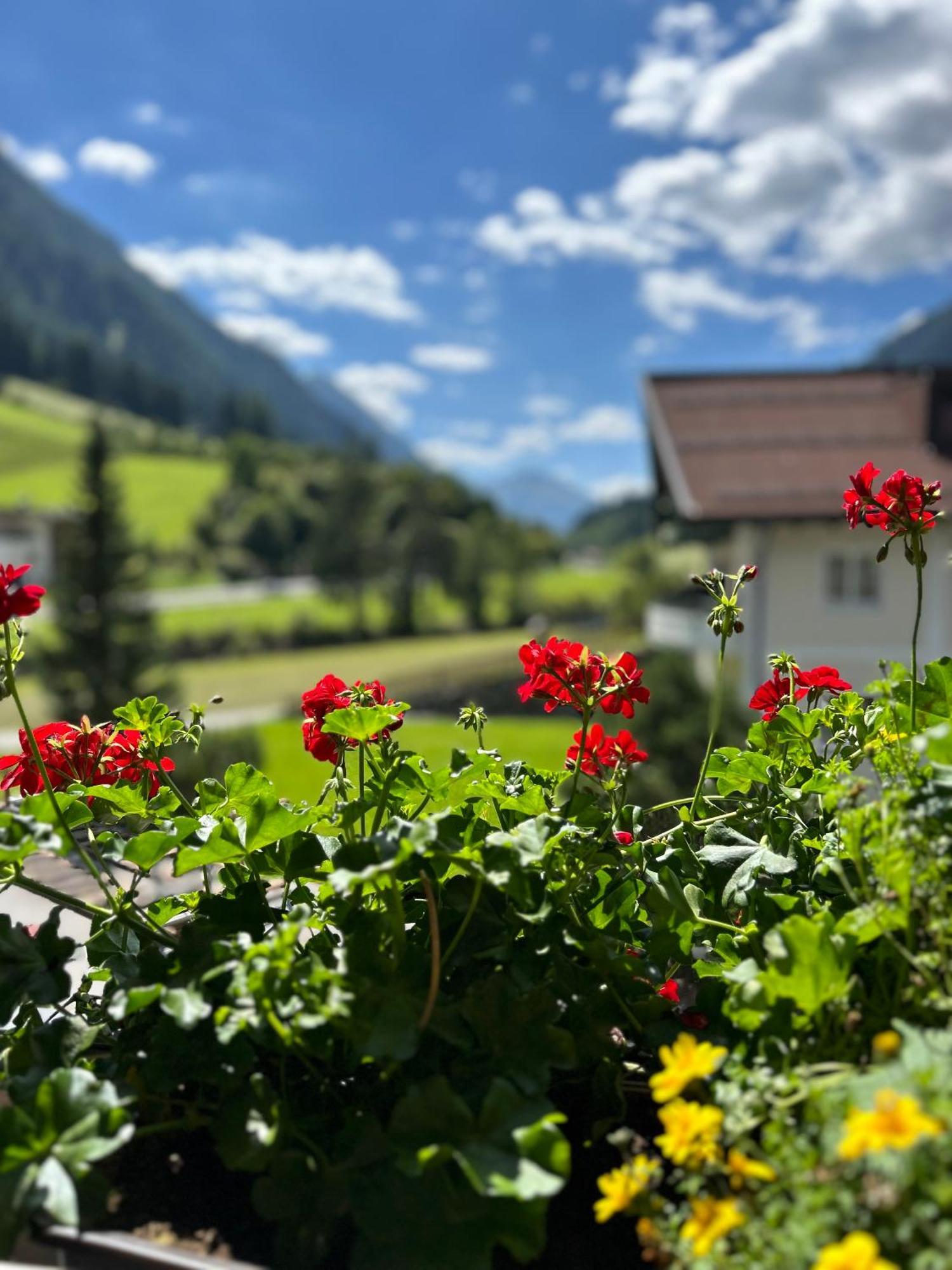 Augl'S Hof Apartment Ischgl Luaran gambar