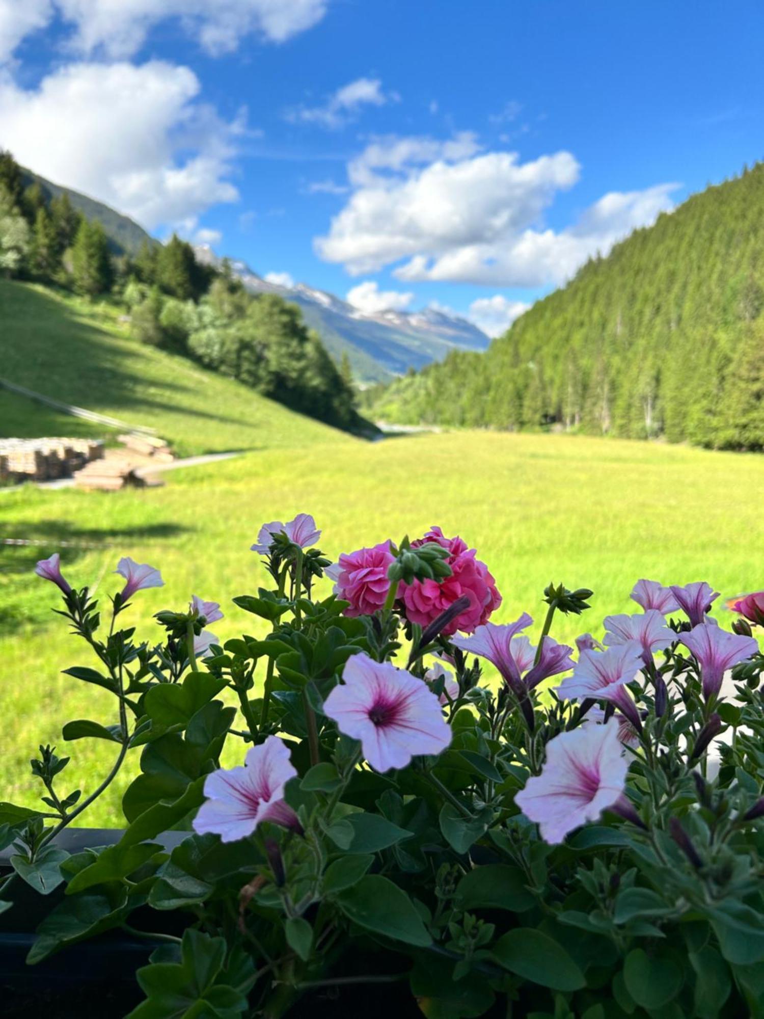 Augl'S Hof Apartment Ischgl Luaran gambar