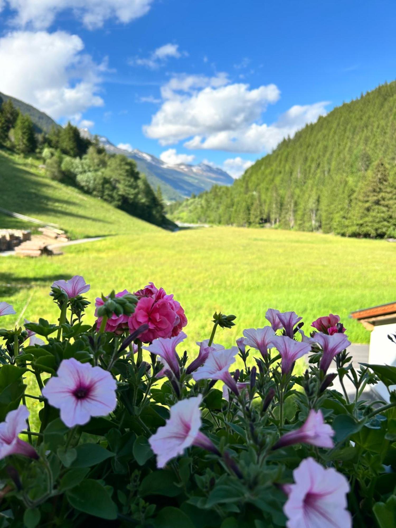 Augl'S Hof Apartment Ischgl Luaran gambar